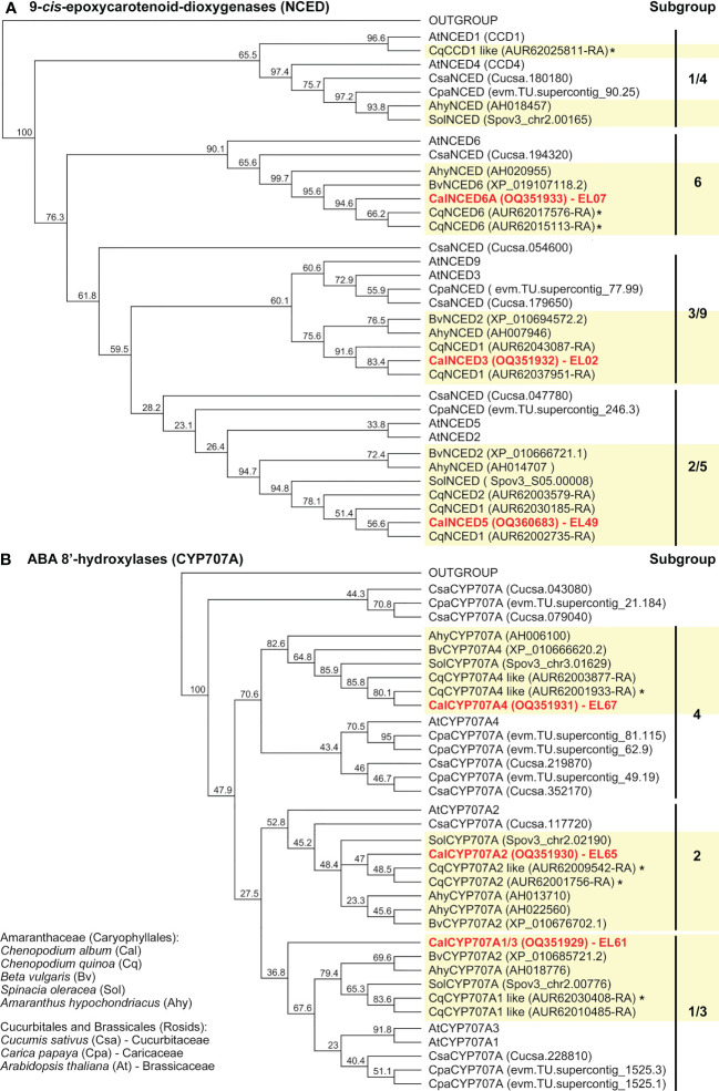 Figure 6