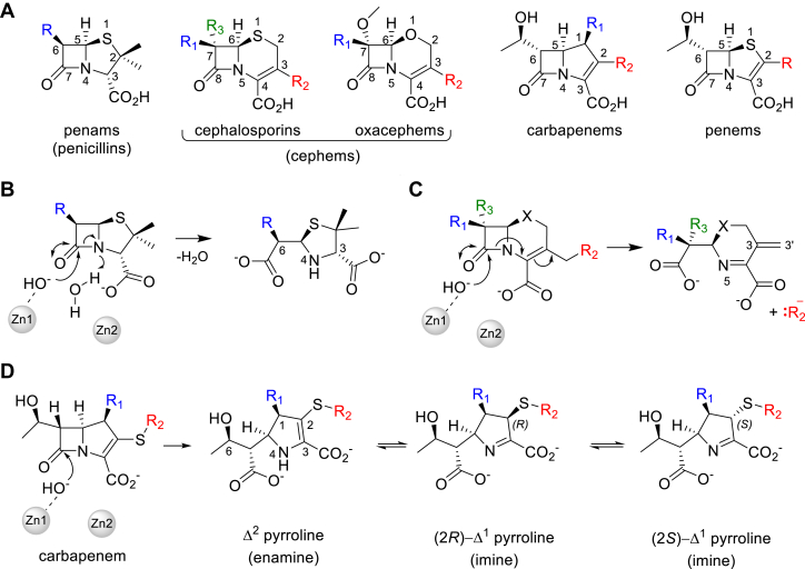 Figure 1