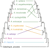 Fig. 2.