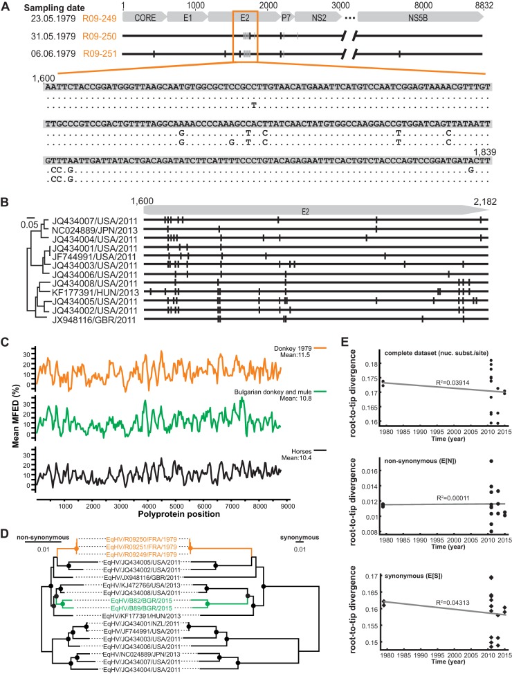 FIG 3