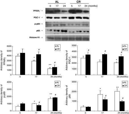 Fig. 6