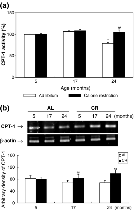 Fig. 3a,b