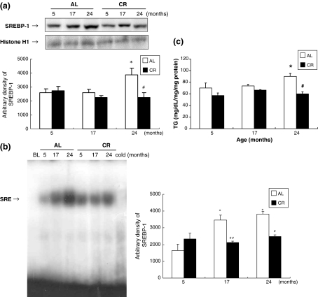 Fig. 4a–c