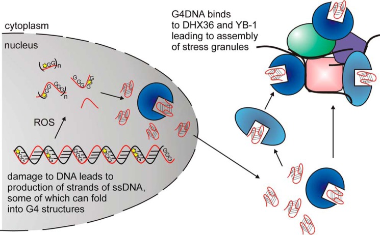 FIGURE 11.