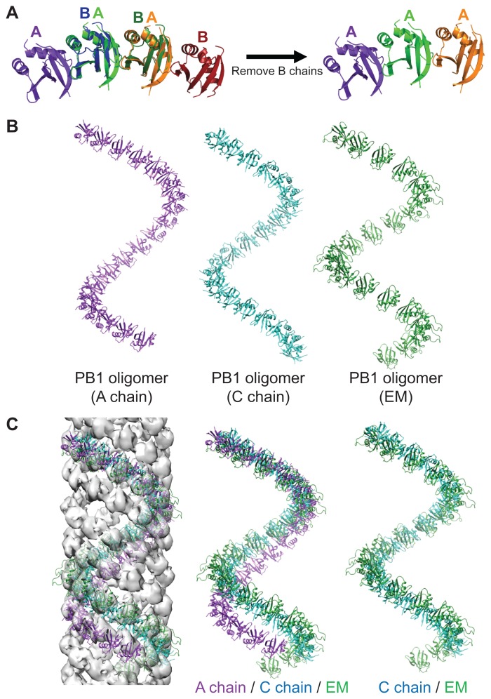 Fig. 4