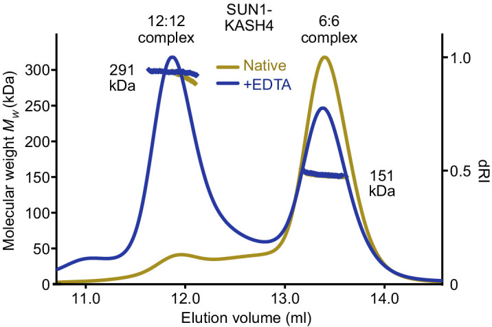 Figure 3—figure supplement 2.