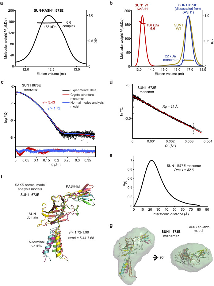 Figure 4—figure supplement 2.