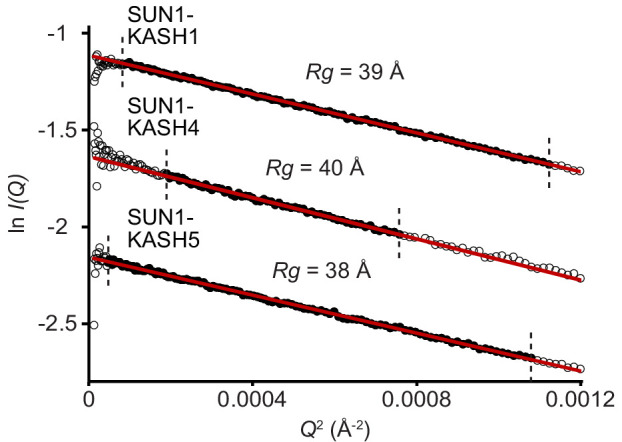 Figure 6—figure supplement 1.