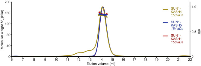 Figure 1—figure supplement 2.