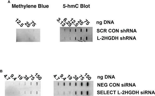 Figure 5