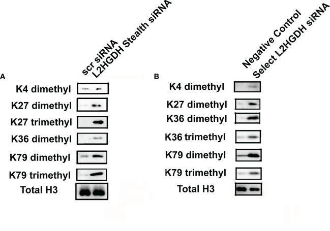 Figure 6