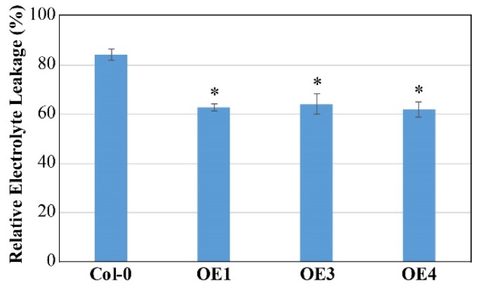 Figure 10