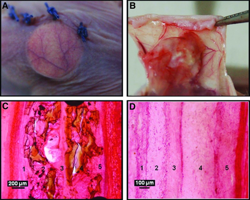 FIG. 8.