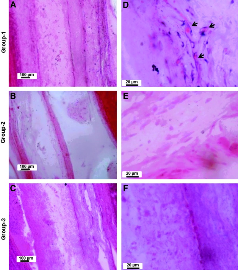 FIG. 9.