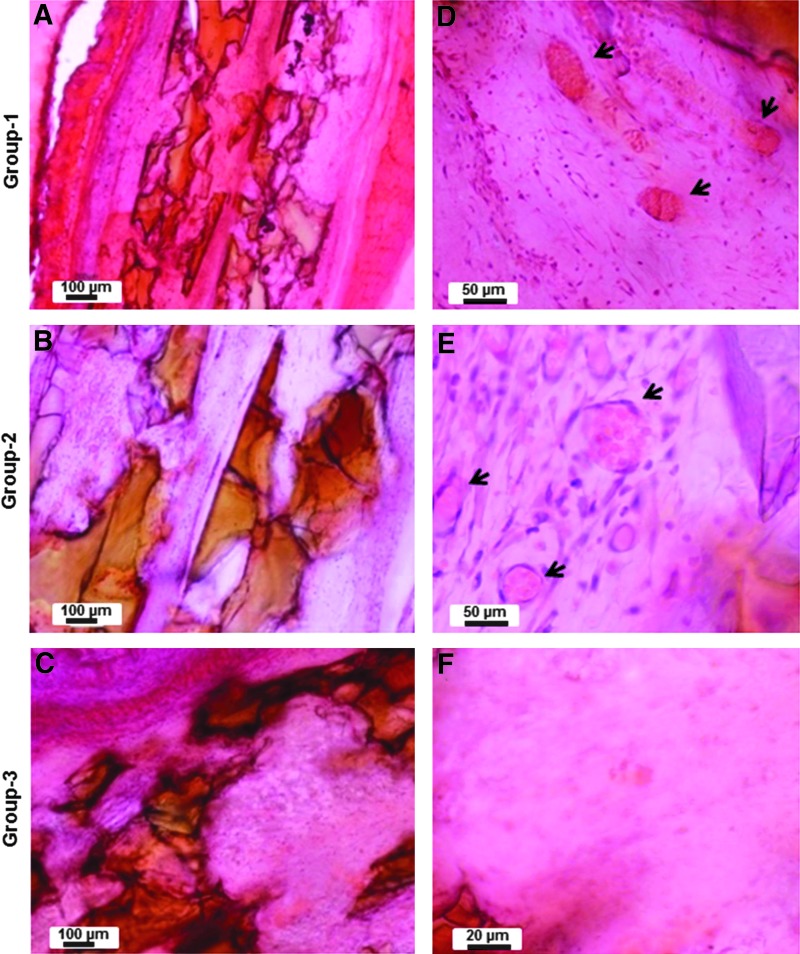 FIG. 10.