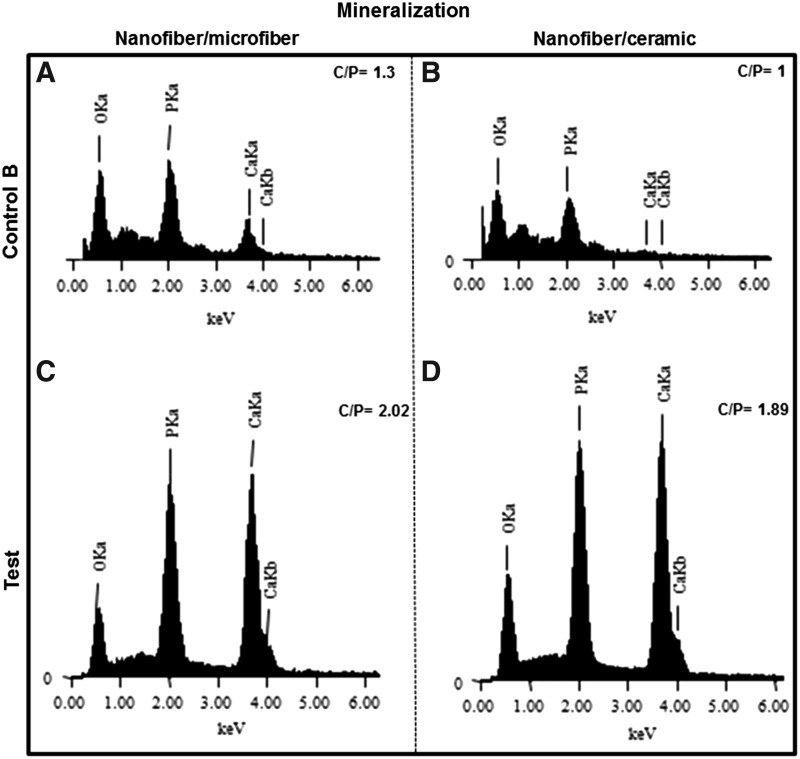 FIG. 13.