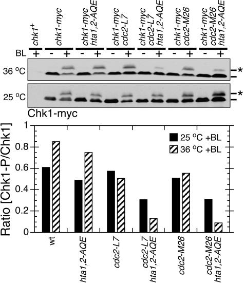 FIG. 5.