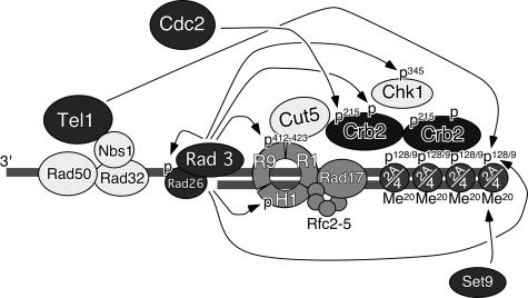 FIG. 6.