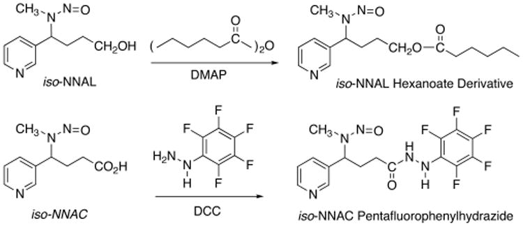 Scheme 4