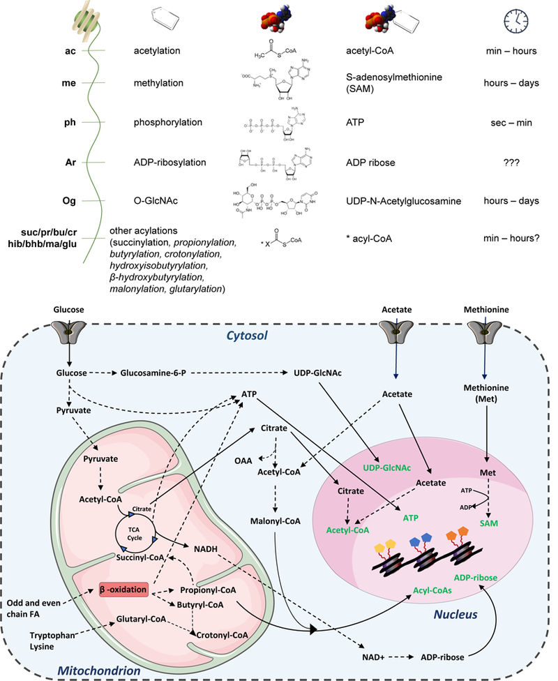 Figure 4: