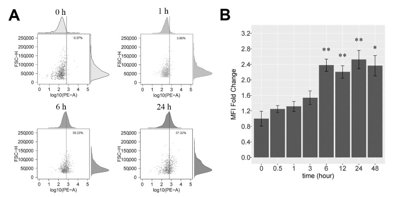 Figure 5