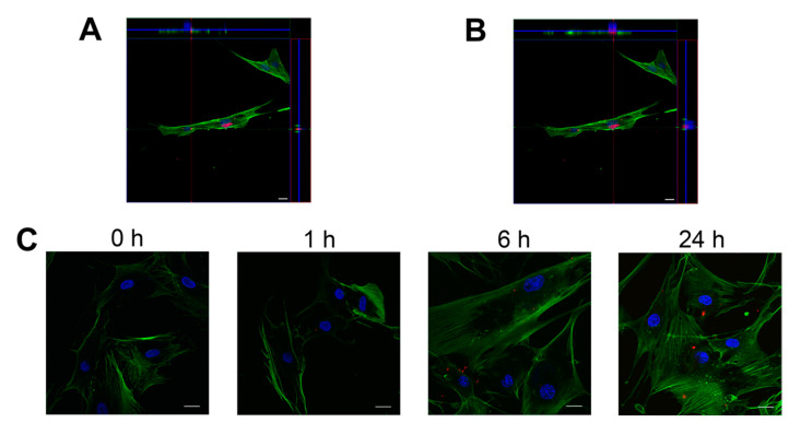 Figure 6