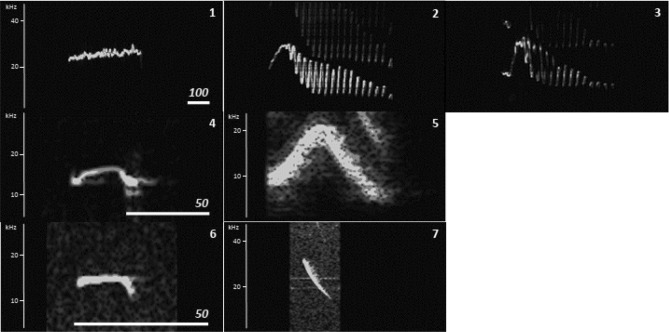 Figure 7