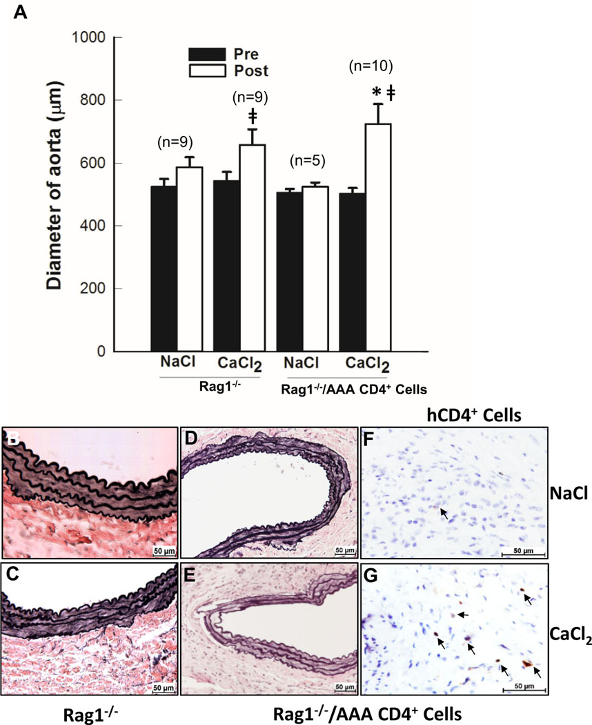 Fig 2.