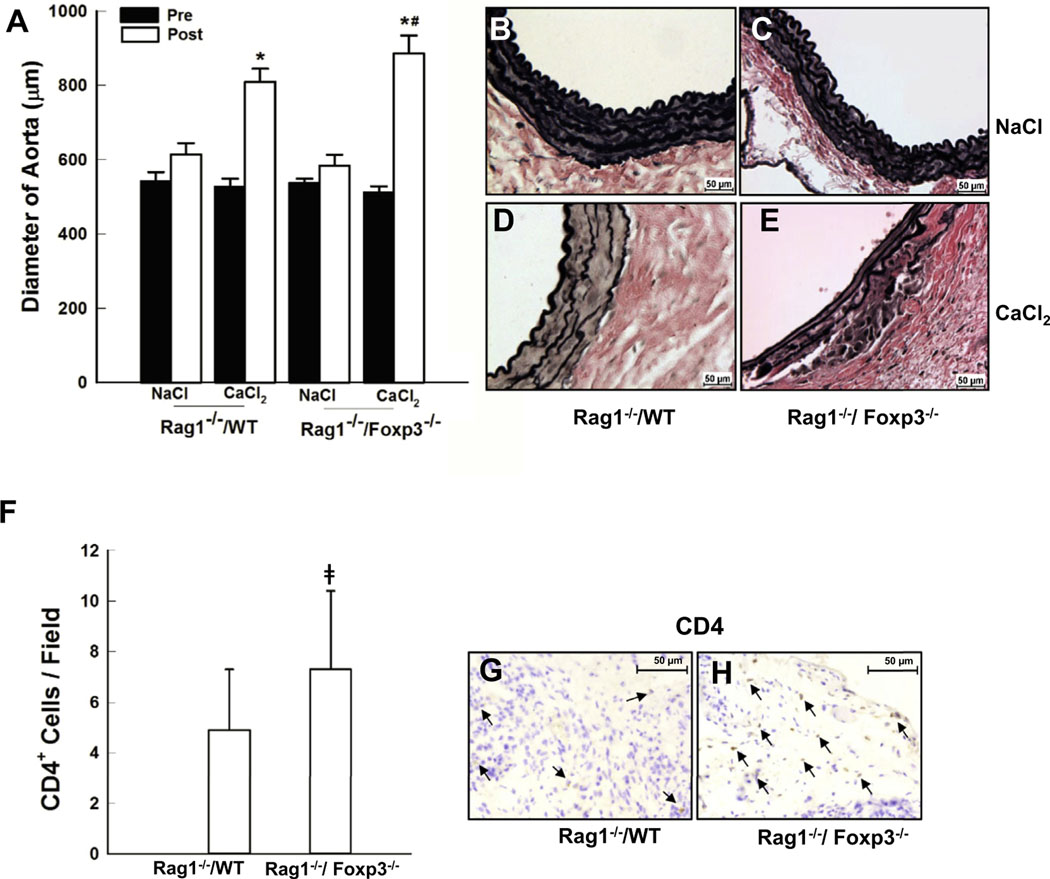 Fig 3.