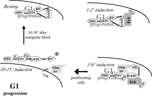 FIG. 7.