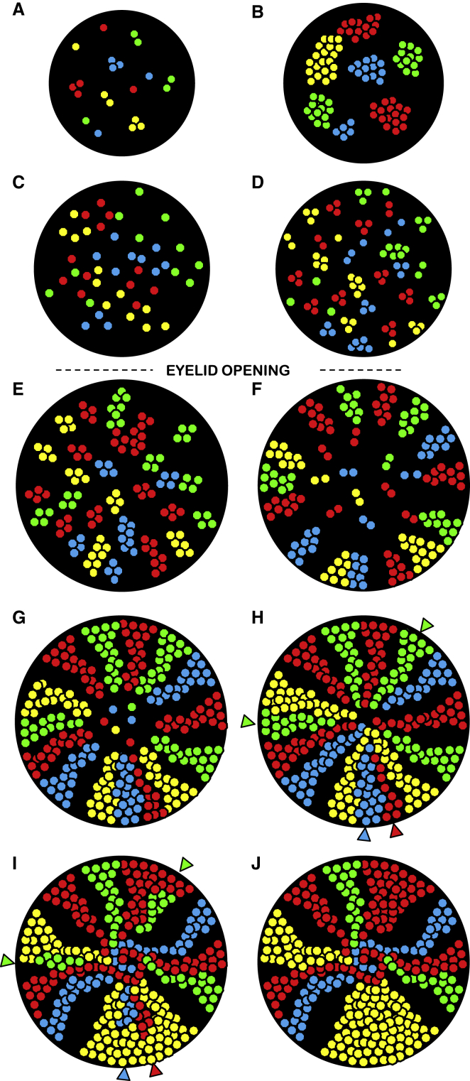 Figure 7