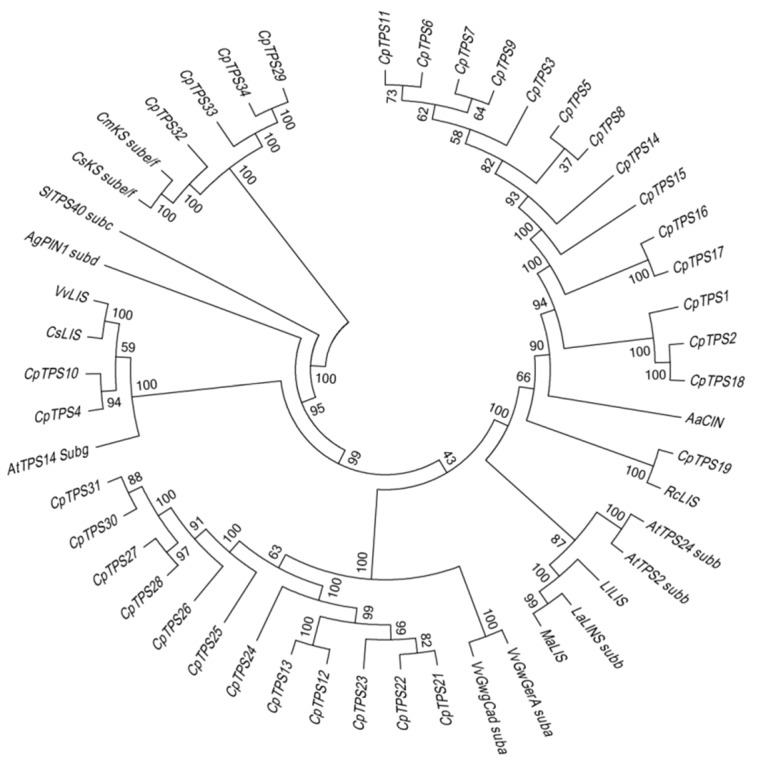 Figure 5