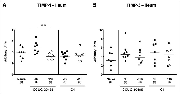 Fig. 10.