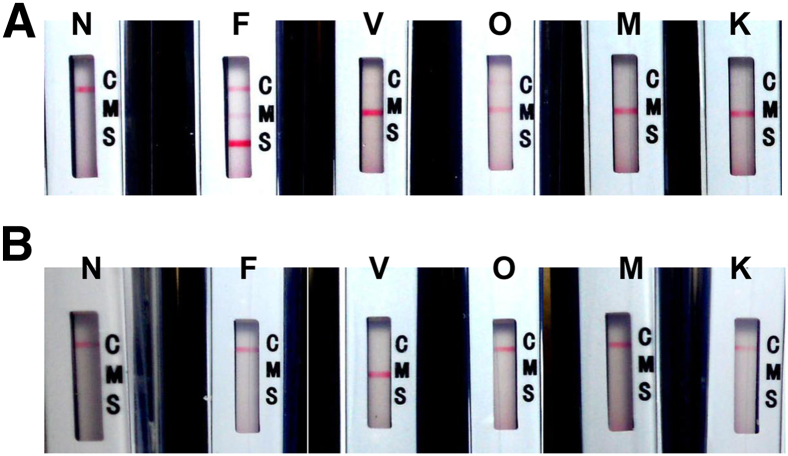 Figure 3