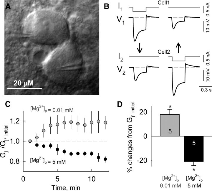 Figure 10.