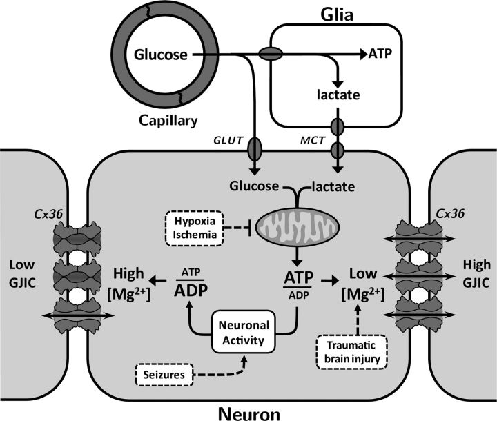 Figure 11.