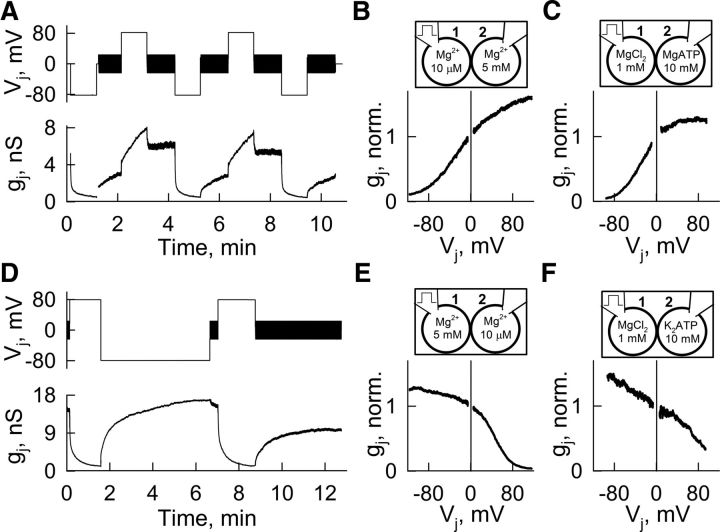 Figure 6.