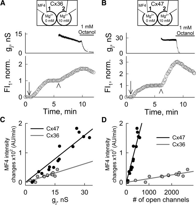 Figure 5.