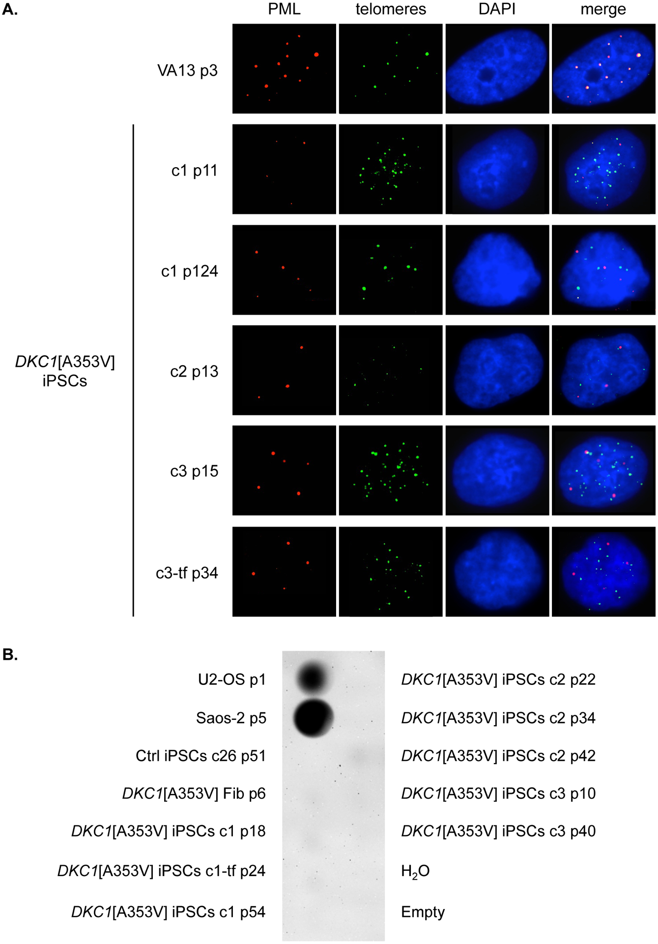 Figure 3 –