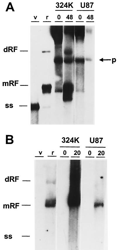 FIG. 5