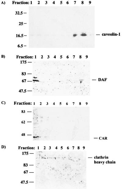 FIG. 8.