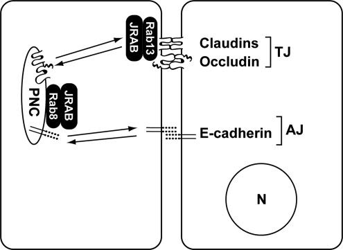 Figure 9.