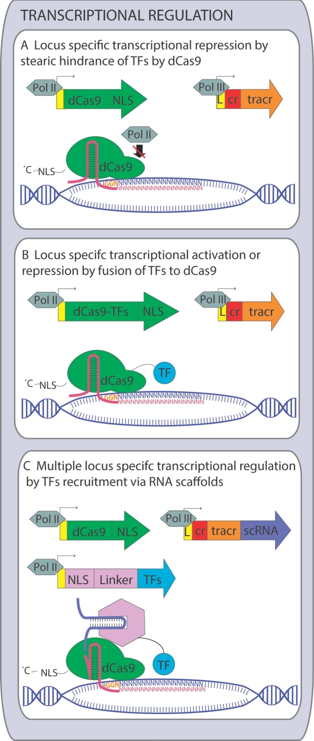 Figure 3.