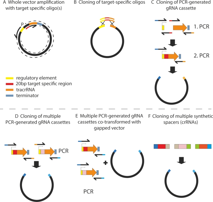 Figure 2.