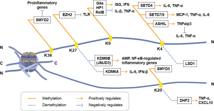 Figure 2