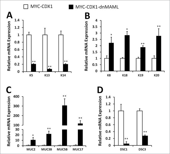 Figure 4.: