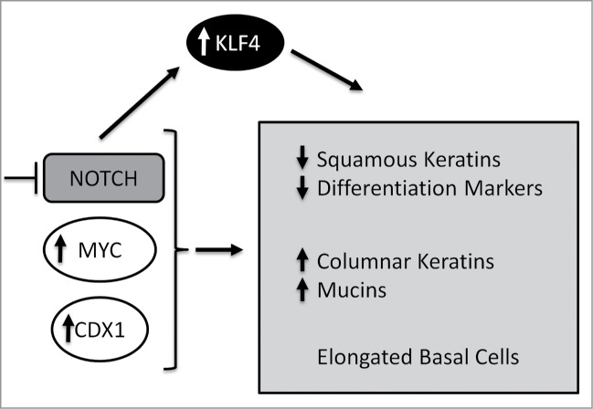 Figure 7.