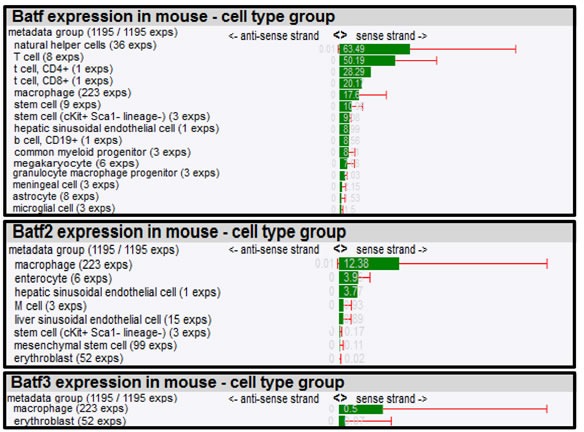 graphic file with name oncotarget-06-26575-t001.jpg