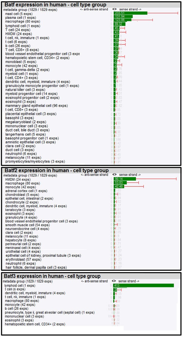 graphic file with name oncotarget-06-26575-t002.jpg