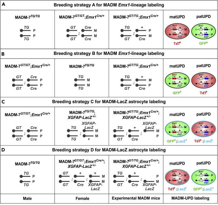 Figure 2